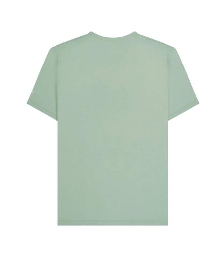 Mens Racing Stripe T-shirt Iceberg Green Lambretta