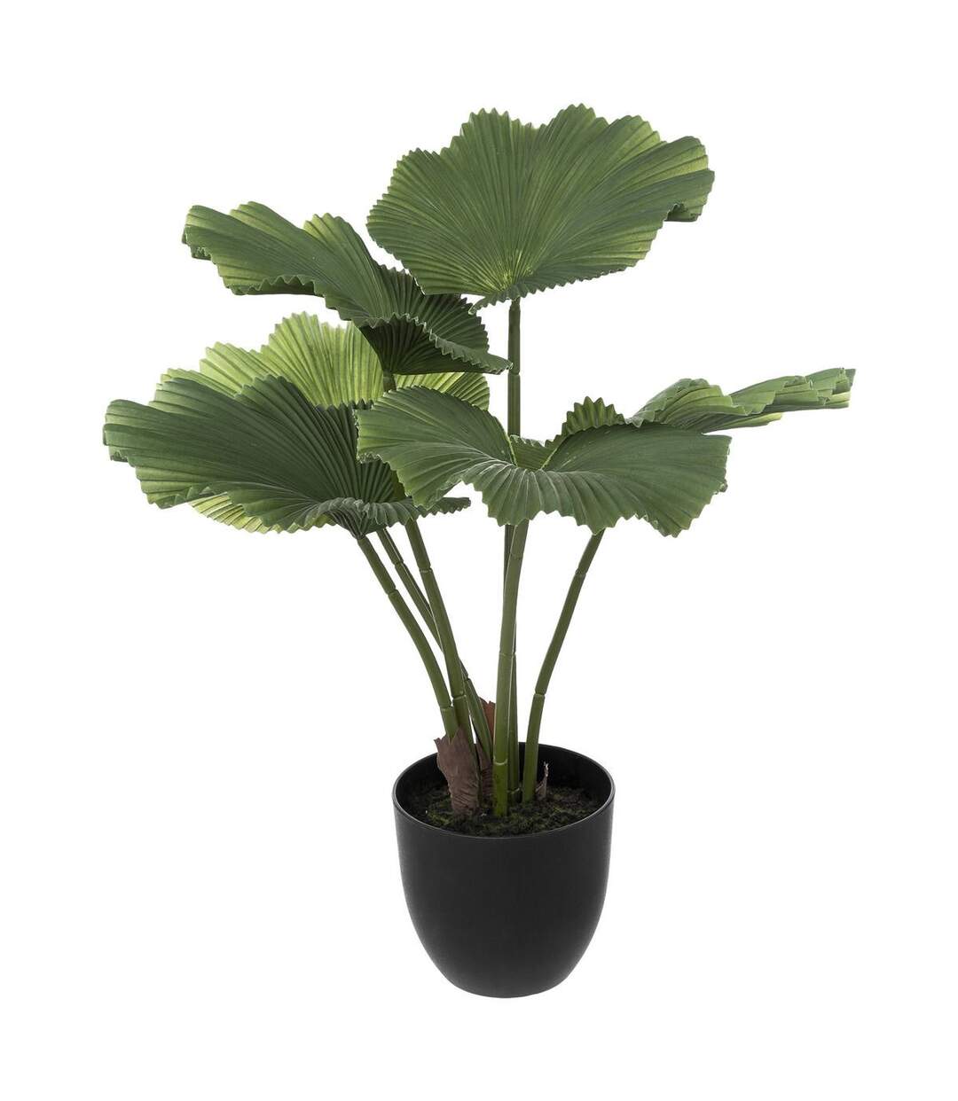 Plante Artificielle Déco Palmier 65cm Vert & Noir-1