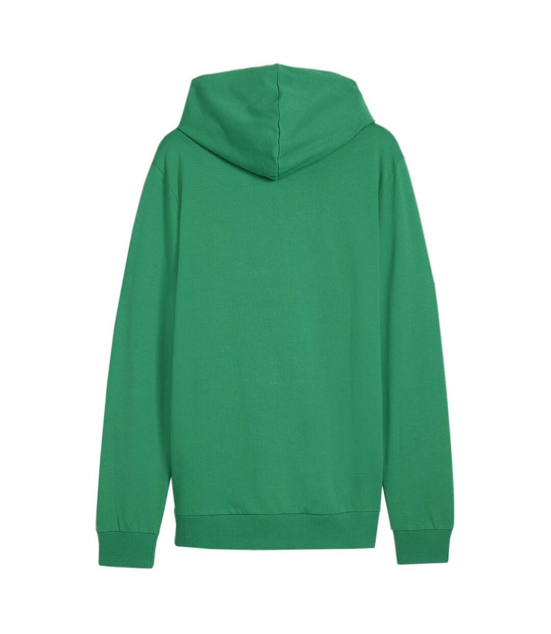 Veste À Capuche Team Goal Homme Vert Puma-3