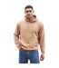 Awdis Unisex Adult College Hoodie (Caramel Latte)