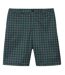 Mens Ultra Dry Plaid Golf Shorts Green Lacoste-2