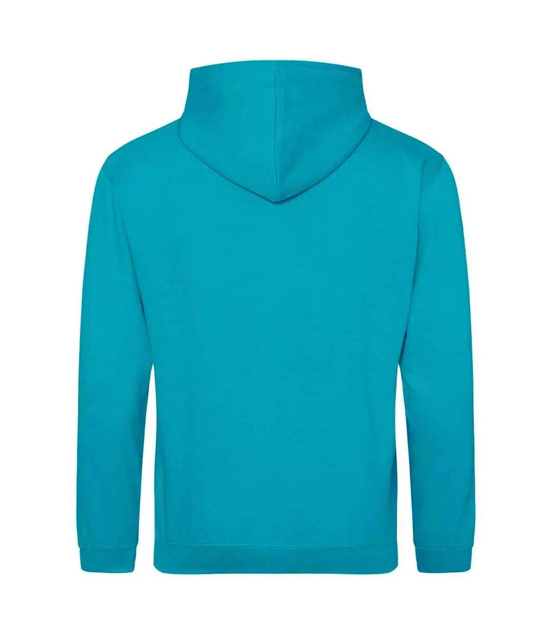 Sweat à capuche college adulte bleu lagon Awdis