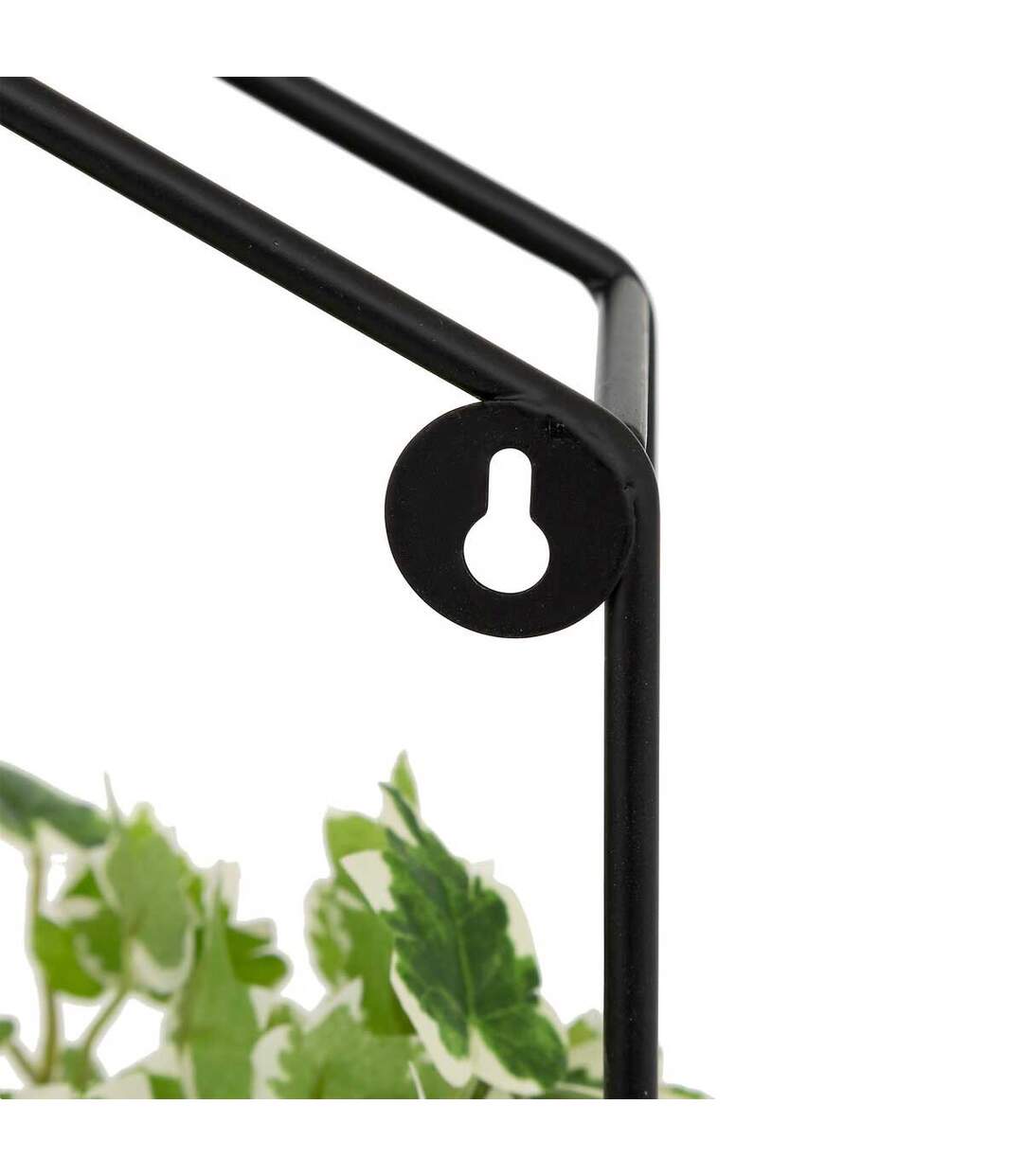 Plante Artificielle à Suspendre Curt 35cm Noir-2