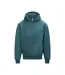 Unisex Adult Signature Heavyweight Hoodie Teal Awdis-1