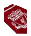 Liverpool FC - Serviette de plage YOU'LL NEVER WALK ALONE (Rouge / Blanc) - UTAG3223