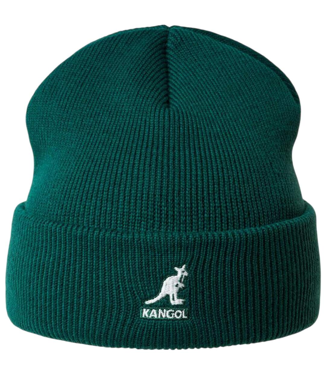 Embroidered Logo Acrylic Pull-on Beanie Pine Kangol-2