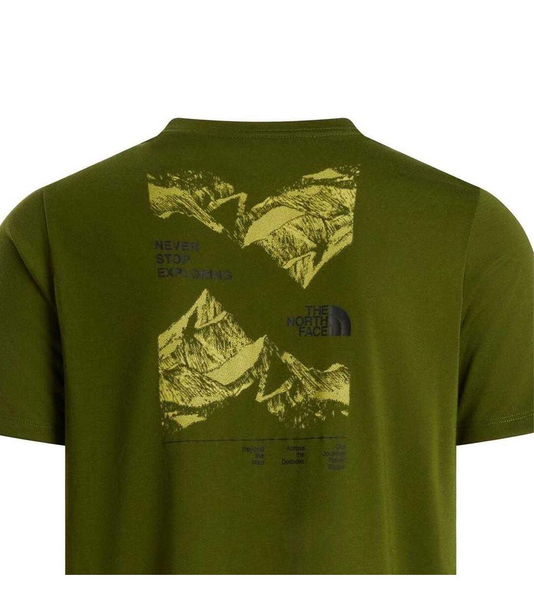 T-shirt Foundation Homme Kaki Sombre The North Face-3