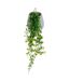 Lierre Artificiel en Pot Mailo 62cm Gris Clair-1