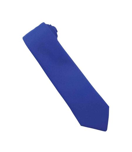 Cravate Taille Unique Bleu Roi Premier