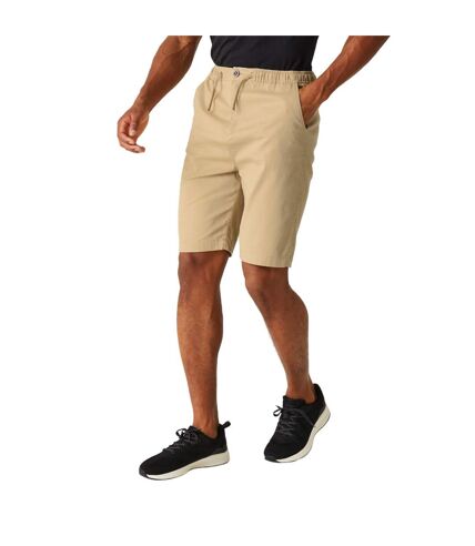 Short aldan homme avoine Regatta