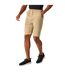 Mens aldan chino shorts oat Regatta