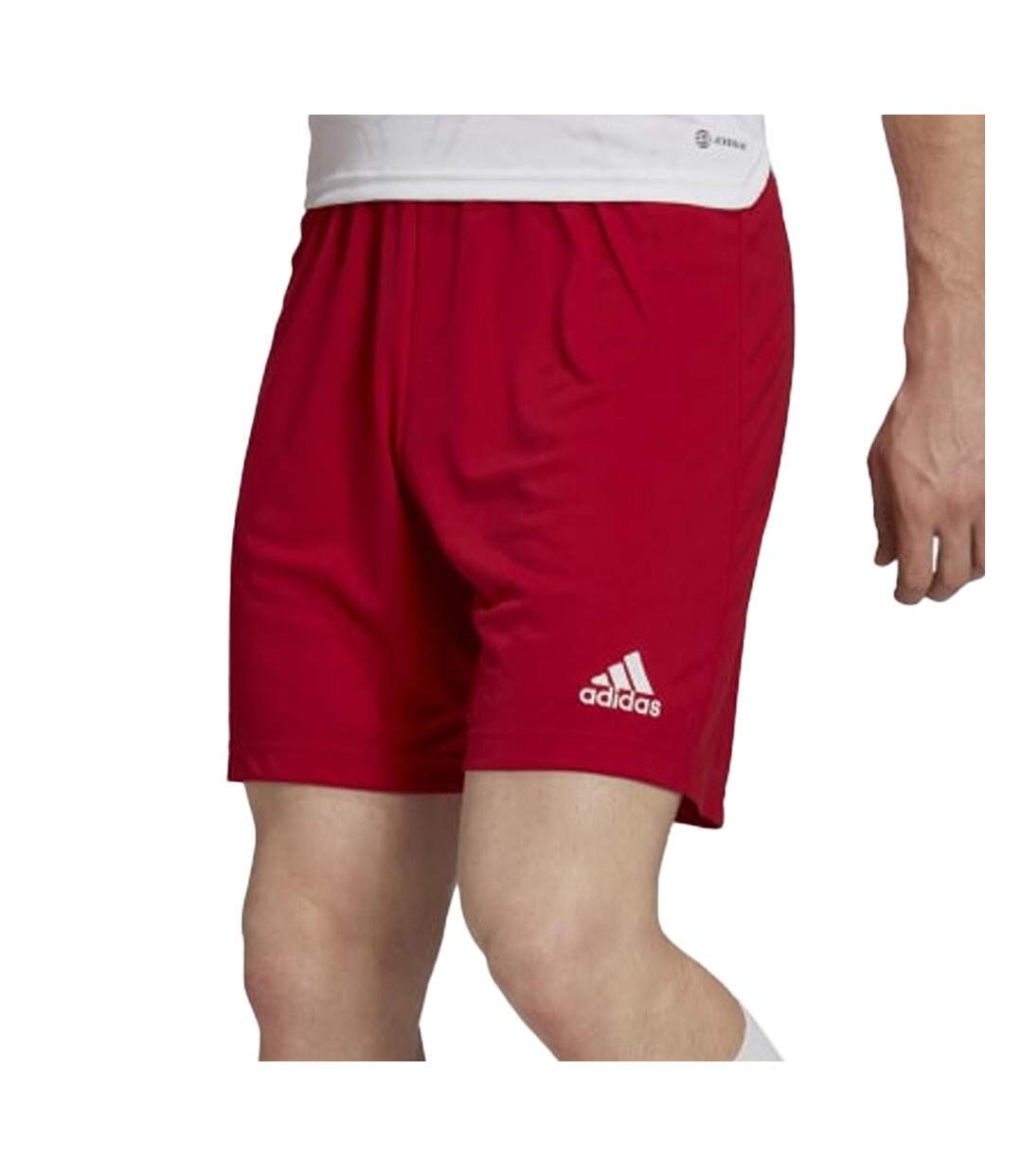 Short Rouge Homme Adidas Entreda - L