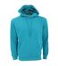 Sweatshirt Homme Turquoise SG-1