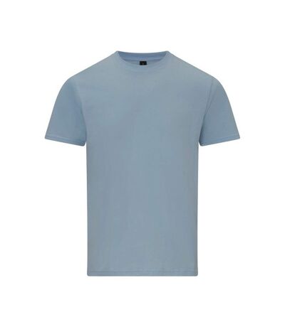 Gildan Unisex Adult Softstyle Midweight T-Shirt (Light Blue) - UTRW8821