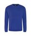 Pro RTX - Sweat-shirt - Homme (Bleu saphir) - UTRW6174