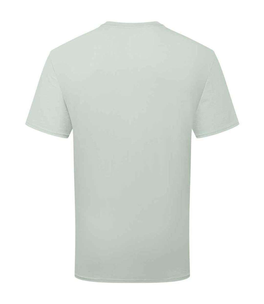 T-shirt unisexe en coton pour adultes sage Fruit of the Loom-2