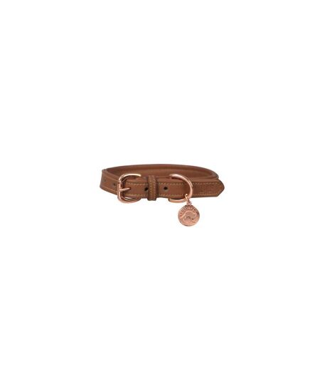 Benji & Flo Deluxe Leather Padded Dog Collar (Tan/Rose Gold) (S- Length: 9.84in-14.96in) - UTBZ4937