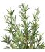 Plante Artificielle Bambou 126cm Vert-2