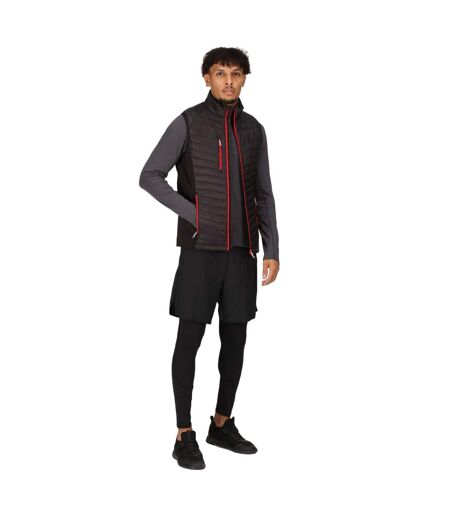 Mens Quilted Hybrid Gilet Black Classic Red Regatta Professional