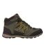 Regatta Mens Samaris Mid II Hiking Boots (Peat/Gold Flame) - UTRG3275