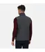 Veste Sans Manches Flux Homme Gris Regatta-1