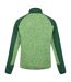 Veste polaire coladane homme vert jasmin / vert des champs Regatta