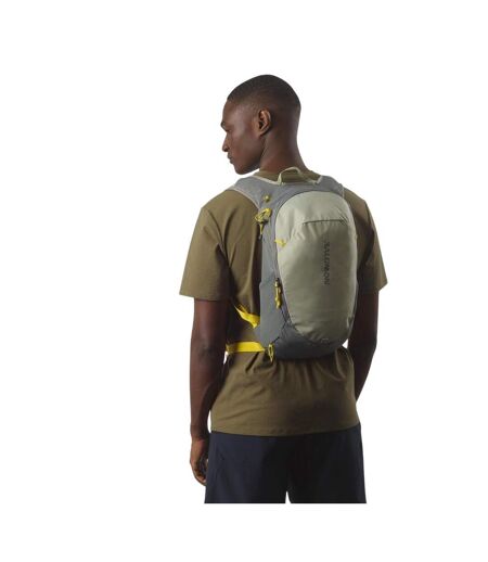 Sac À Dos Trailblazer 10 L Gris Salomon