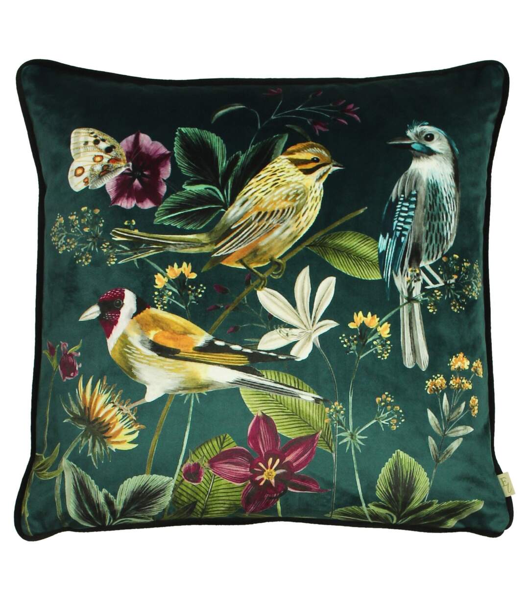 Midnight garden bird cushion cover 43cm x 43cm green Evans Lichfield