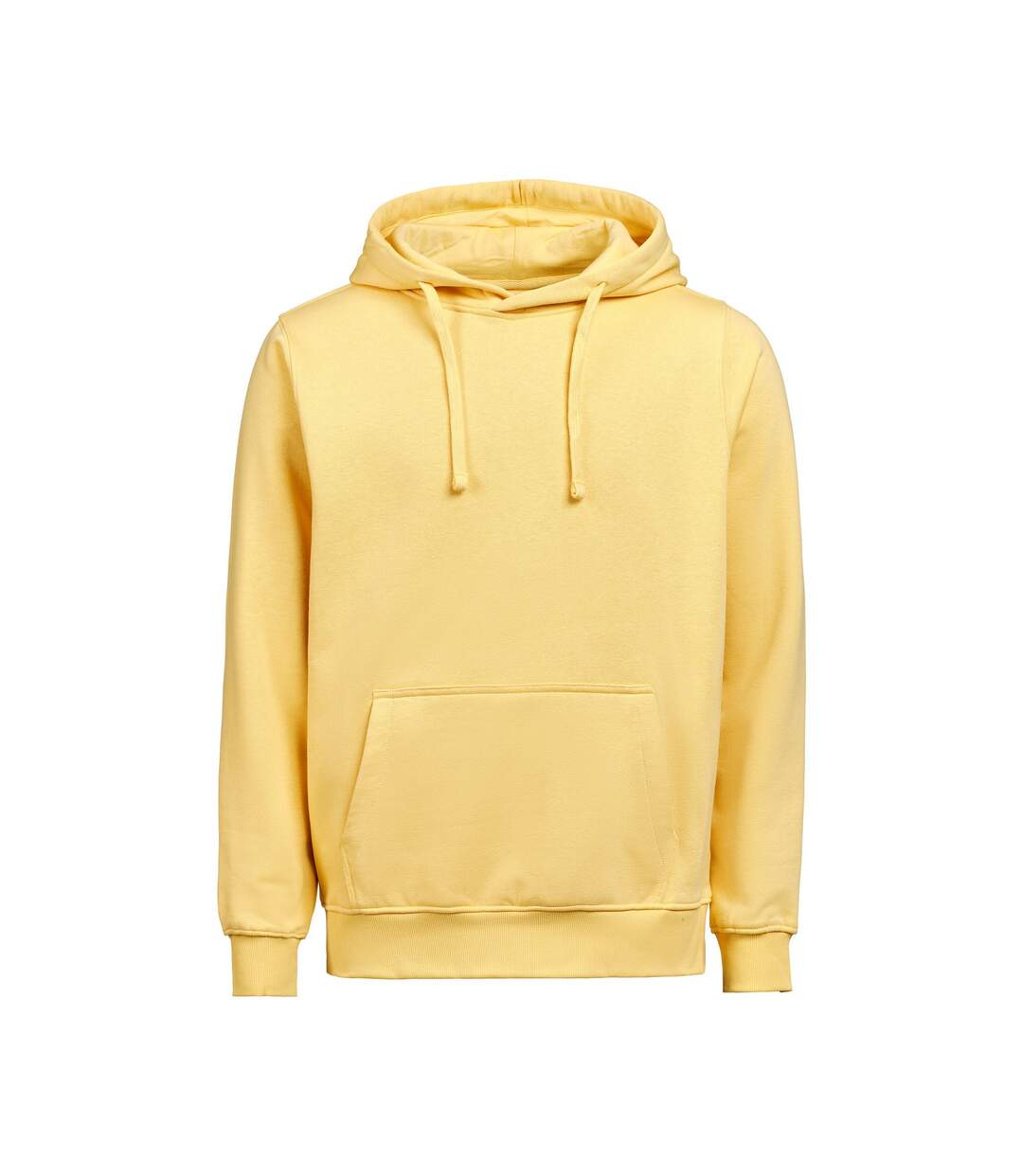 Unisex Adult Regular Hoodie Ray Untagged Movement-1