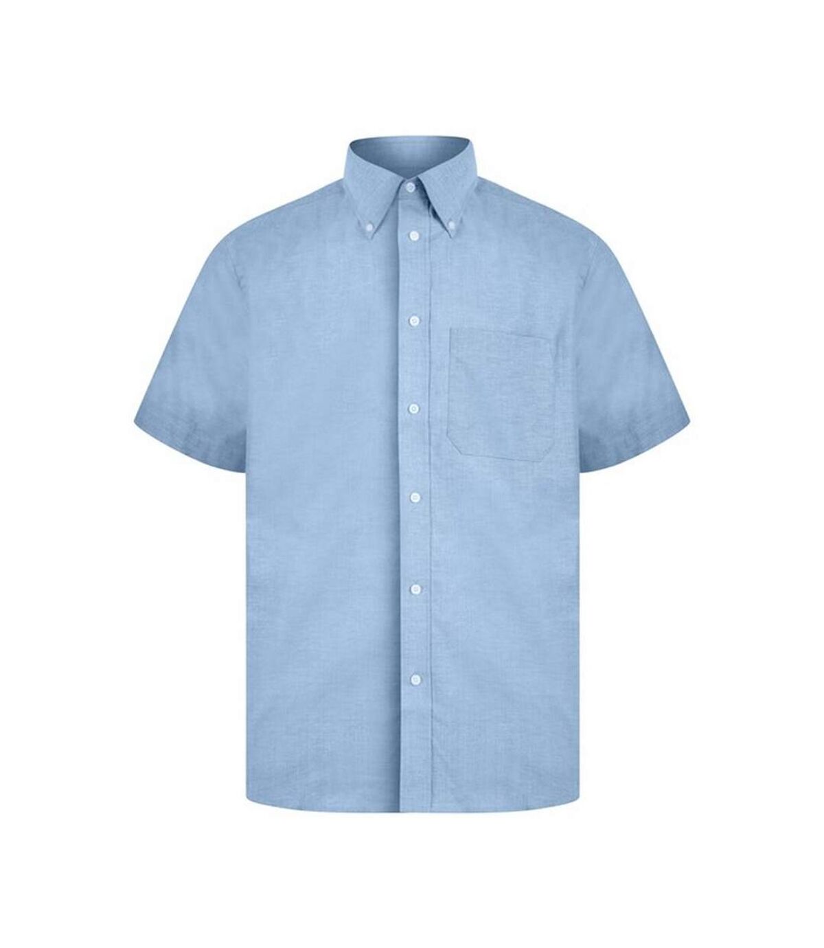 Absolute Apparel - Chemise - Homme (Bleu clair) - UTAB120