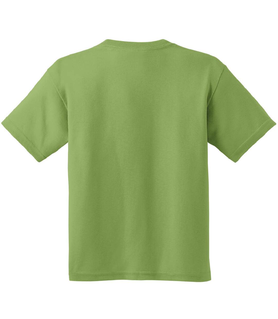 Youth Unisex Heavy Cotton T-shirt Kiwi Gildan-2
