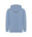 Sweat À Capuche Fashion Adulte Bleu De Gris SF Men-2