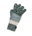 Gants D´hiver Frosty Adulte L-xl Vert Regatta-1