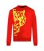 Pull Motif/style Tigre Homme Rouge Plein Sport-2