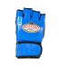 Gants D´entraînement De Boxe Mma Bleu Masters-1