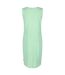 Regatta Womens/Ladies Fahari Stripe Shift Casual Dress (Vibrant Green/White) - UTRG7534