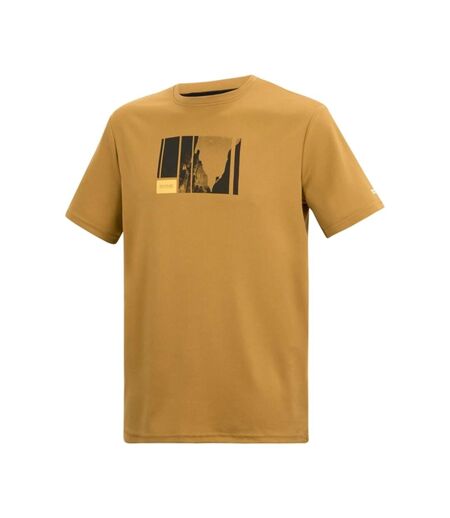 Mens Fingal Mountain Climbing T-shirt Wood Brown Regatta