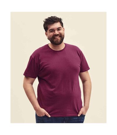 Fruit Of The Loom Mens Iconic T-Shirt (Burgundy) - UTPC3389