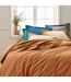 Drap housse en percale de coton uni PASSION PERCALE Bonnet de 30 cm-2