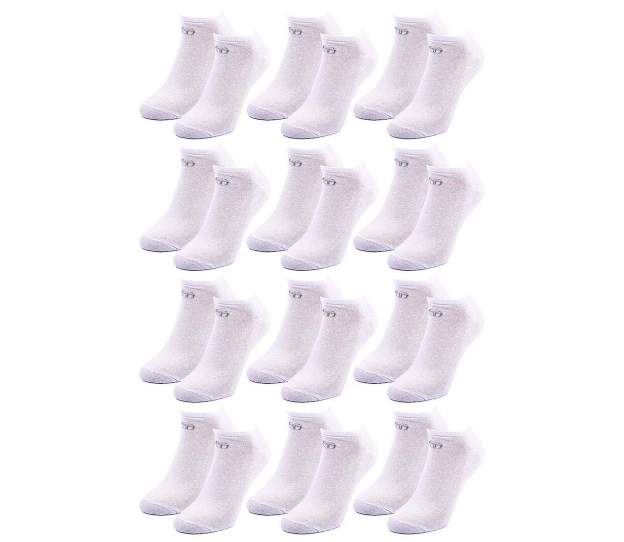 Chaussettes SERGIO TACCHINI SNEAKER 12 Pcs 6062 BOUCLETTE-2