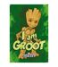 Guardians Of The Galaxy I Am Groot Poster (Gold/Green/Orange) (One Size) - UTPM5620