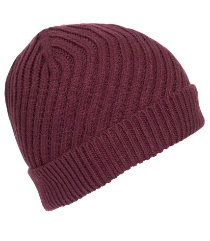 Trespass Womens/Ladies Twisted Knitted Beanie (Fig) - UTTP5231