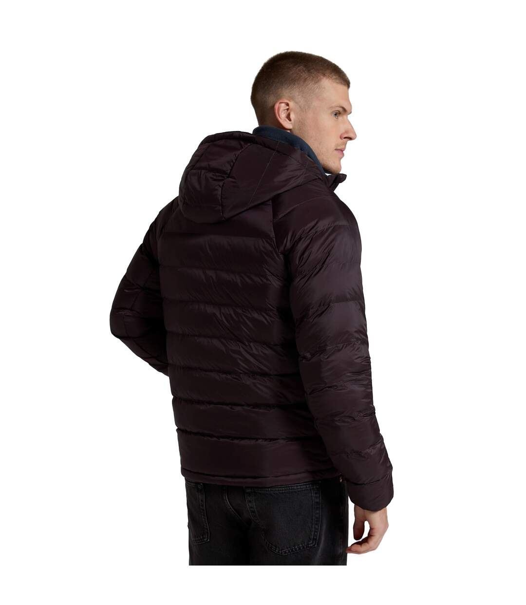 Mens cloud cosi light padded jacket dark red Animal