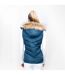 Coldstream Womens/Ladies Leitholm Quilted Gilet (Cool Slate Blue) - UTBZ4027
