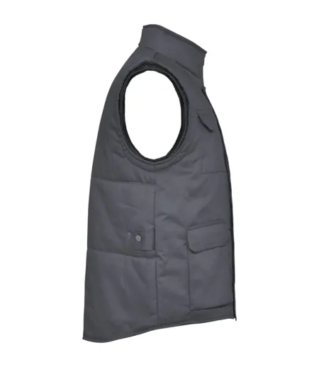 Mens Almanzor High-neck Multi-purpose Gilet Lead Roly Workwear