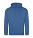 Sweat À Capuche College Adulte Bleu Tropical Awdis-1