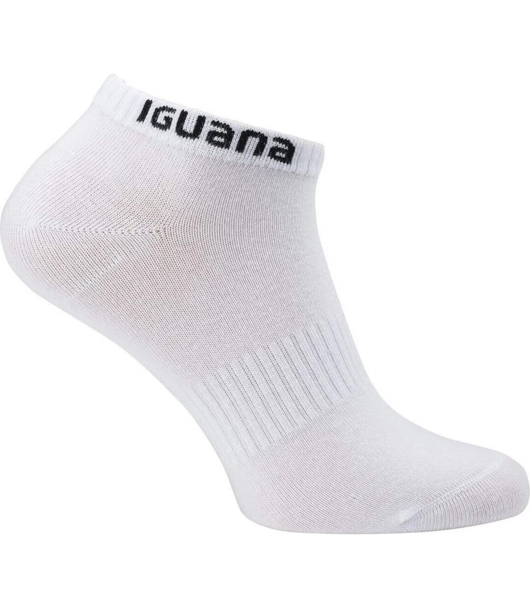 Chaussettes Igino Adulte Blanc Iguana-2