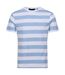 Regatta Mens Ryeden Striped Coolweave T-Shirt (White/Lake Blue) - UTRG8851