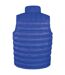 Doudoune Sans Manches Ice Bird Homme Bleu Roi Result Urban-2