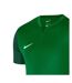 Mens Trophy V Logo Polyester Jersey Green Nike-3
